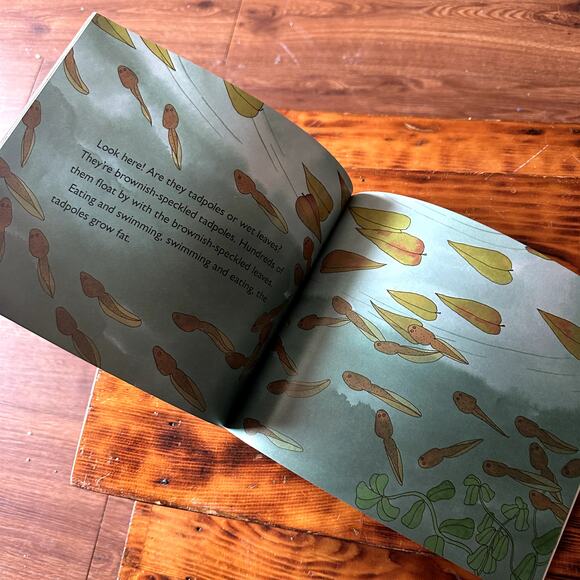 Vintage 1994 From Tadpole To Frog Let's Read And Find Out Science Paperback Book - Picture 6 of 8